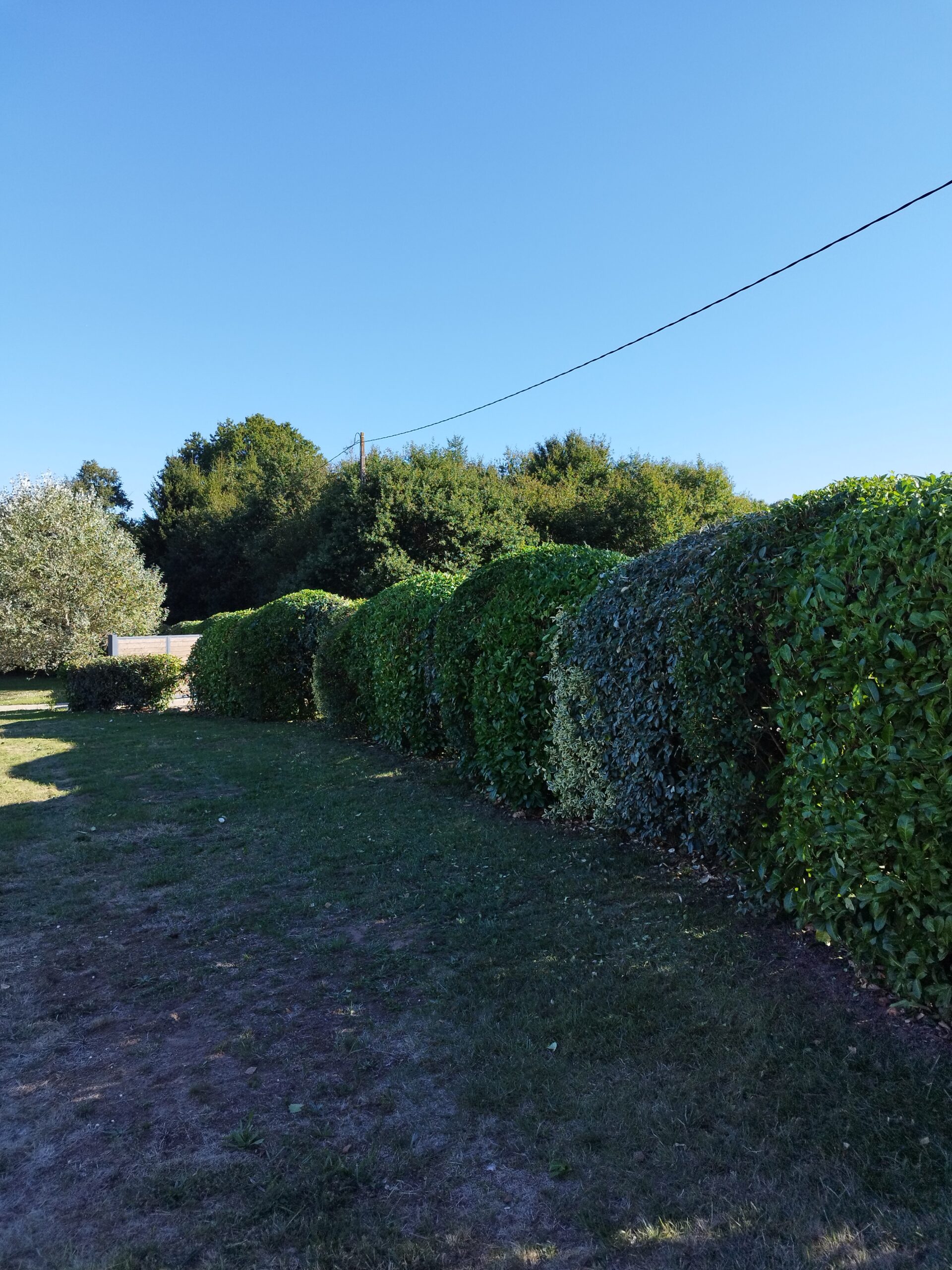Entretien d&rsquo;espaces verts