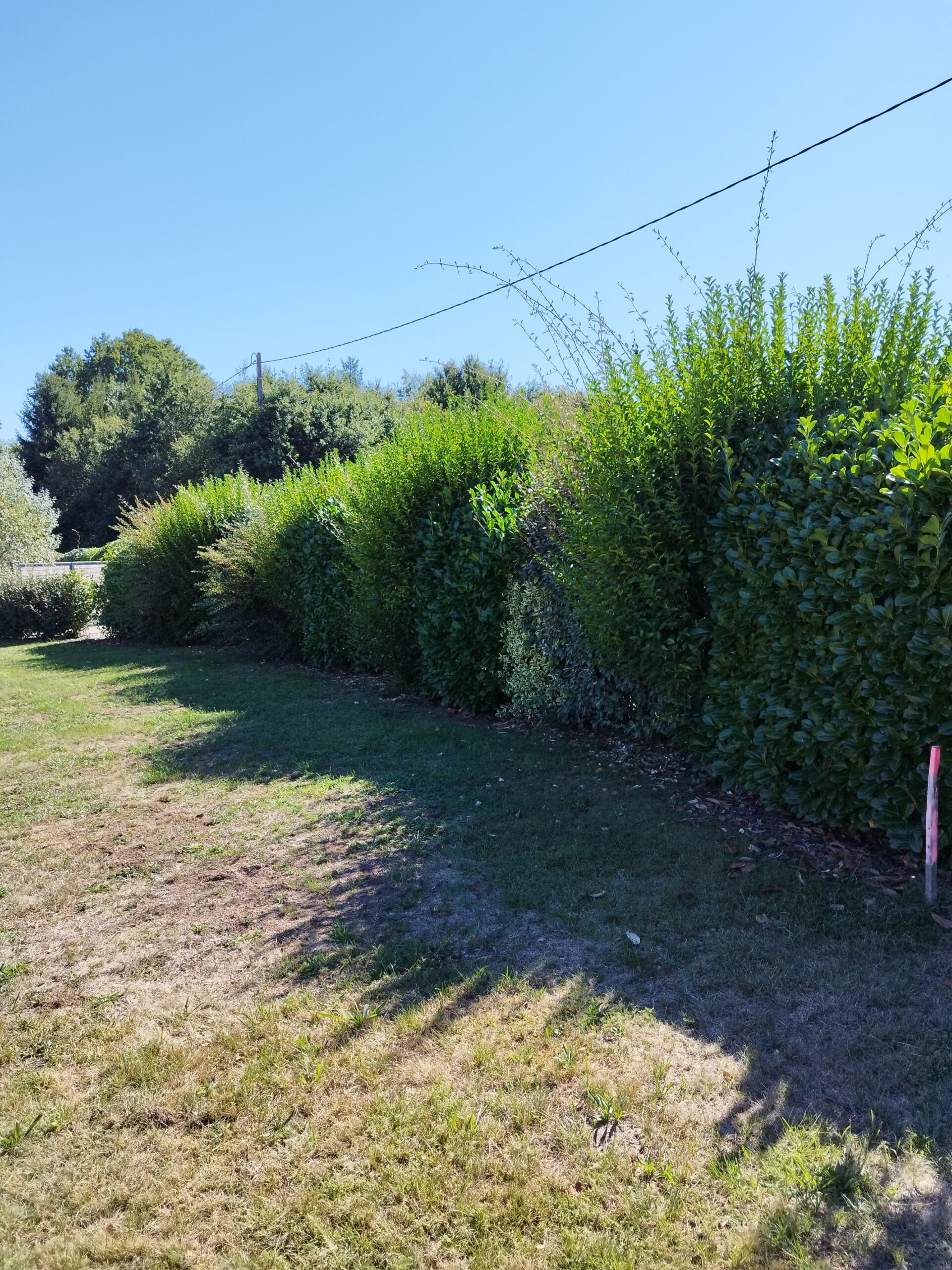 Entretien d&rsquo;espaces verts