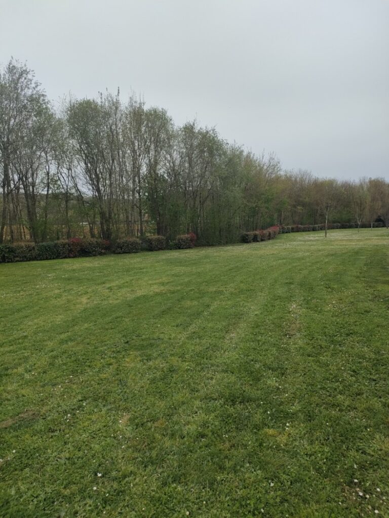 Tonte de pelouse à Marsac-sur-l’Isle