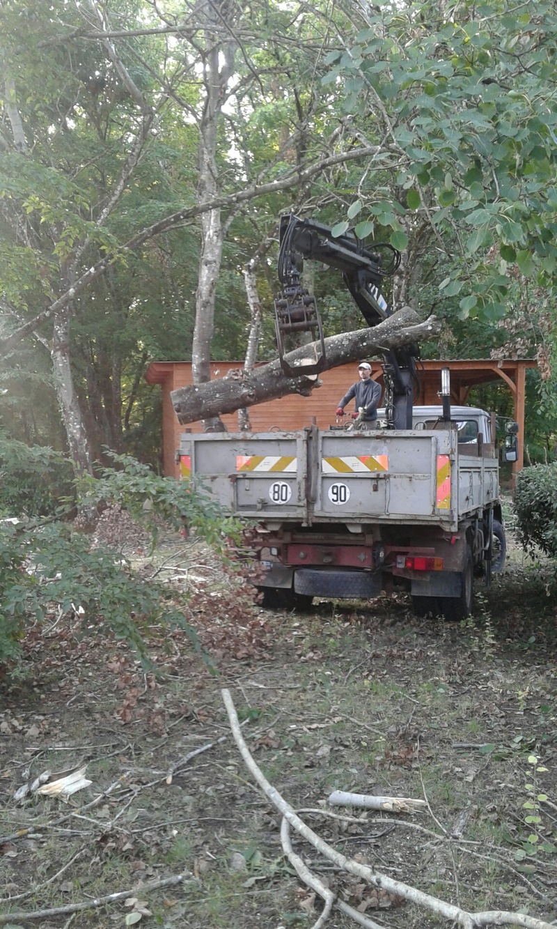 Abattage et démontage