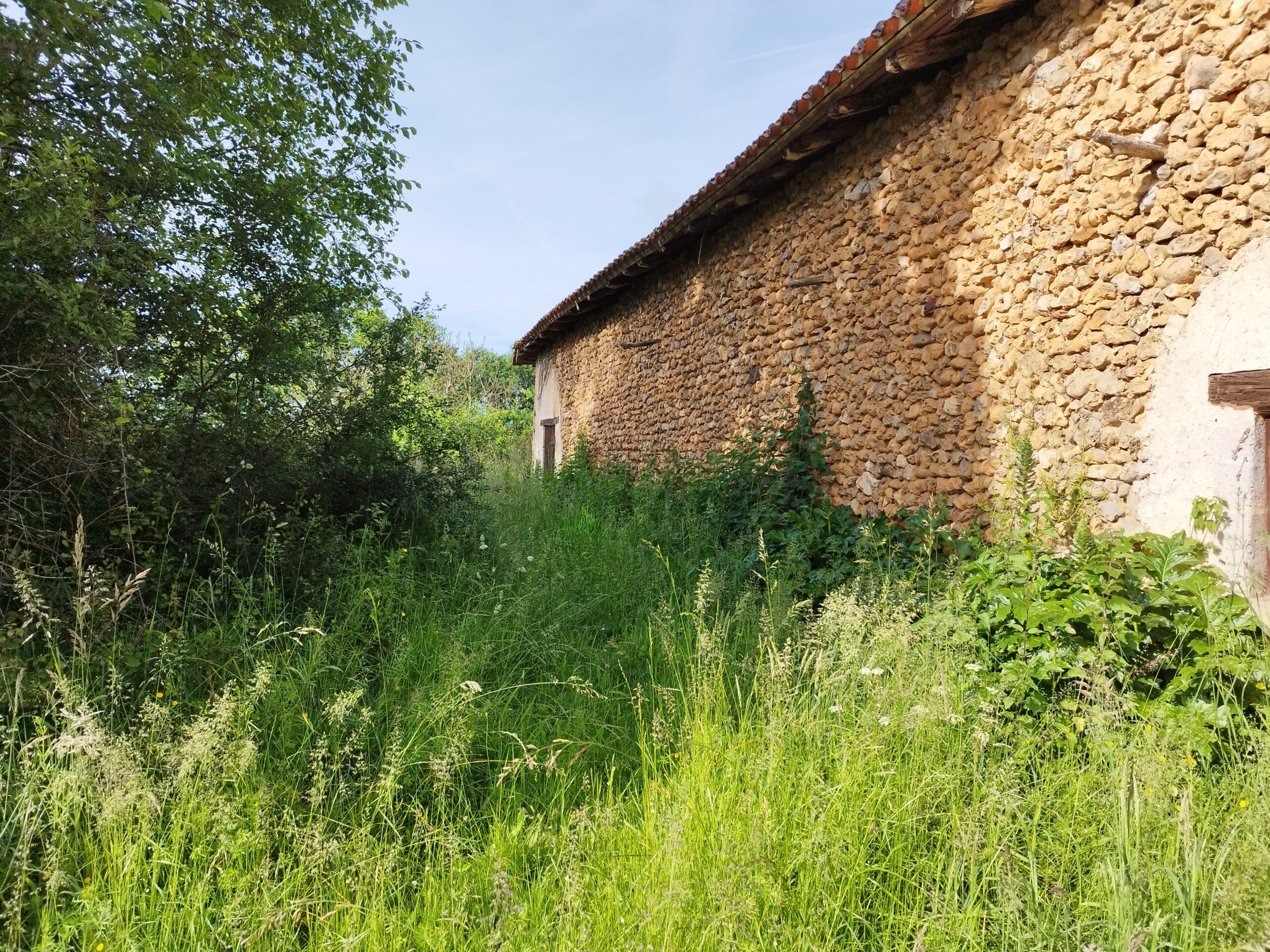 Réalisation Débroussaillage à Sanilhac