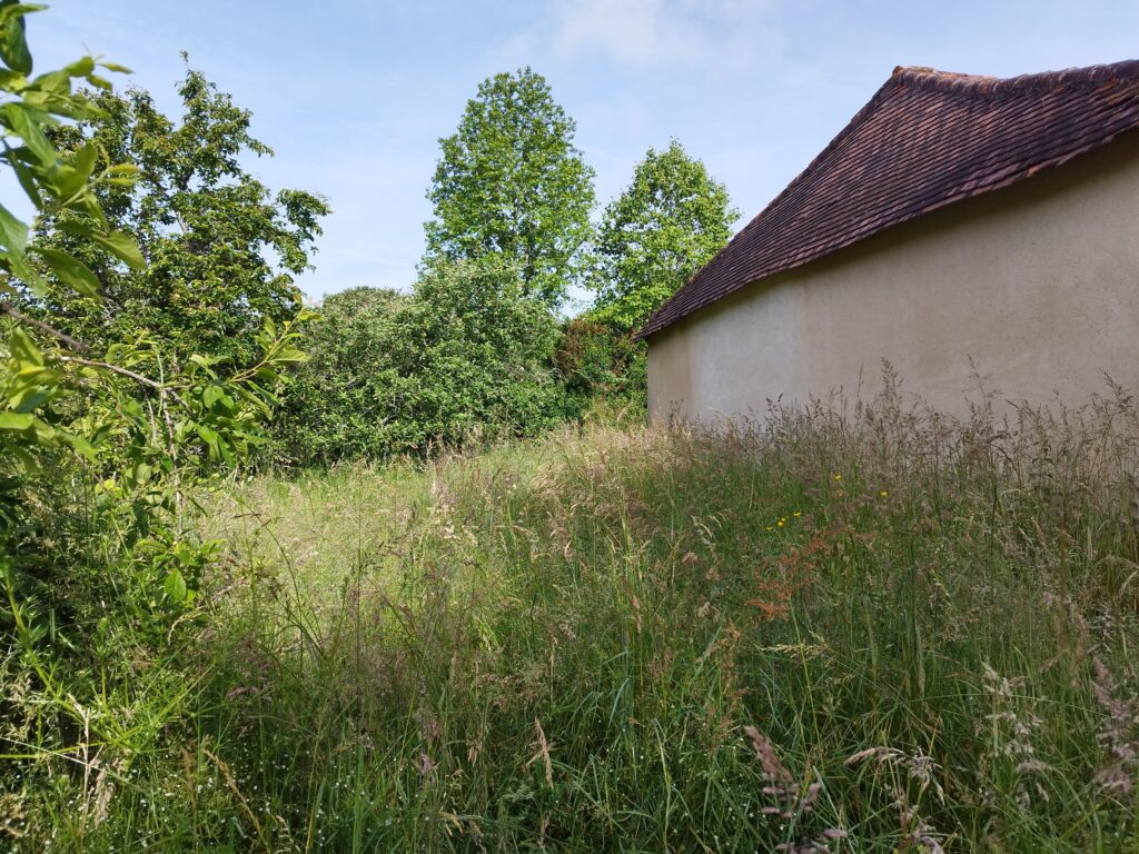 Réalisation Débroussaillage à Sanilhac