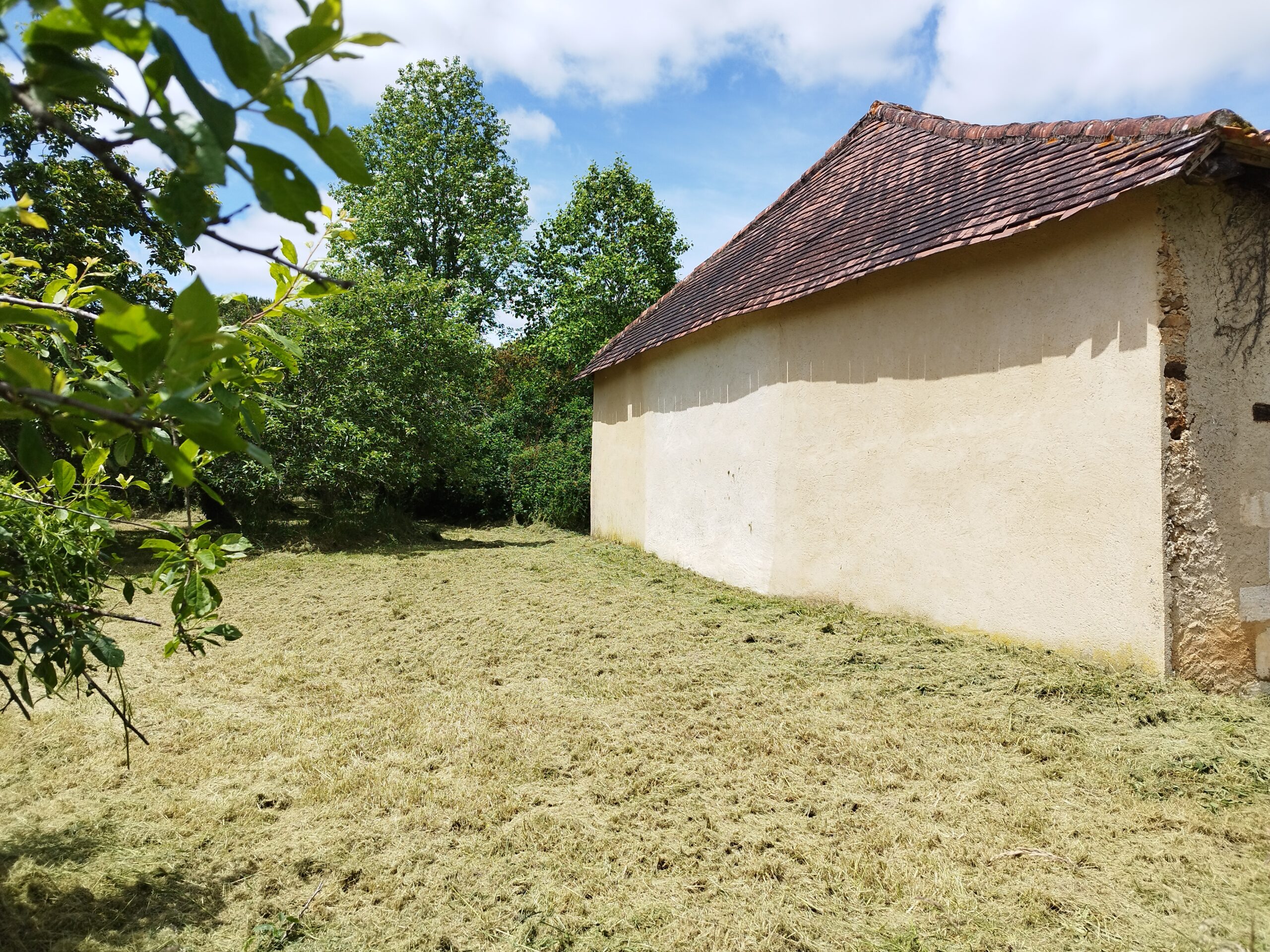 Réalisation Débroussaillage à Sanilhac