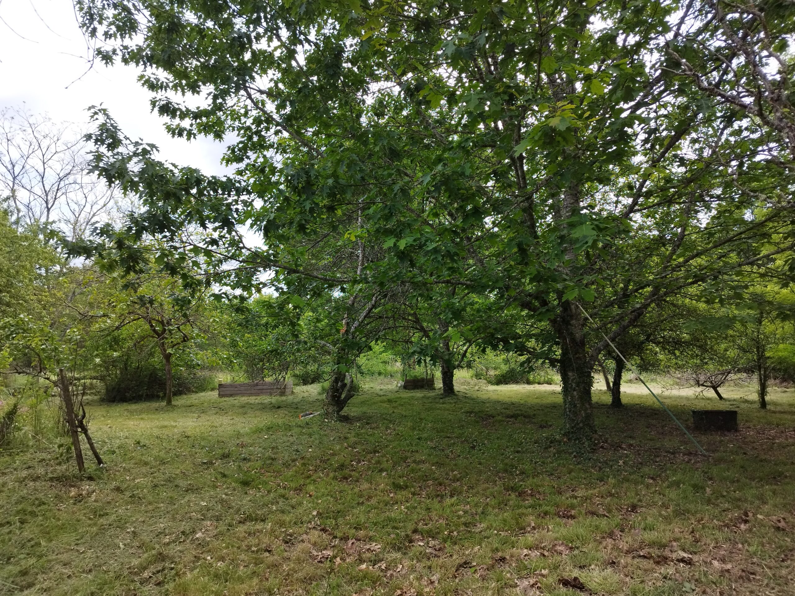 Réalisation Débroussaillage à Sanilhac