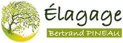 Élagage Bertrand PINEAU - Expert en entretien d'arbres Logo Élagage Bertrand PINEAU avec une illustration d'arbre stylisée aux feuilles vertes et jaunes.