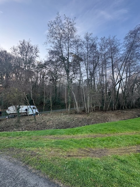 Camion utilitaire stationné en lisière de forêt avec pelouse verte et arbres nus sous un ciel bleu clair.